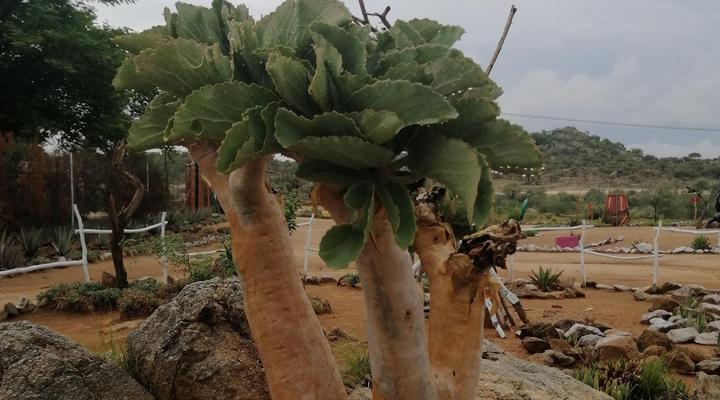 Ann's Self-catering and Camping