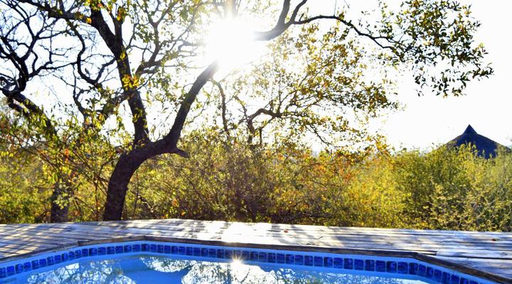 Thulani Game Lodge & Eco Estate