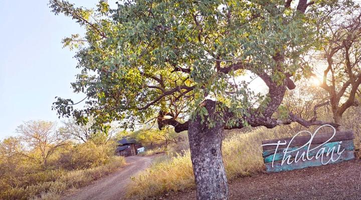 Thulani Game Lodge & Eco Estate