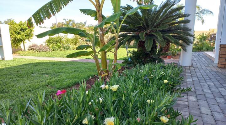 Come Home in Oudtshoorn