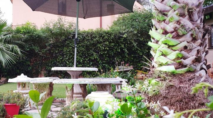 Roosmaryn Guest House