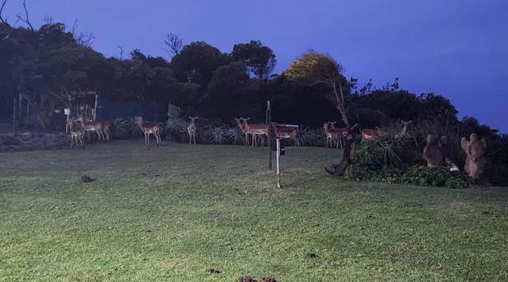 Khala Moya Self-Catering