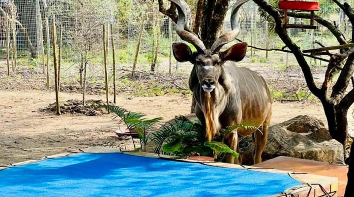 Zaganaga Kruger Lodge