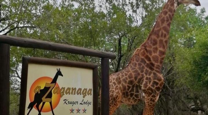 Zaganaga Kruger Lodge