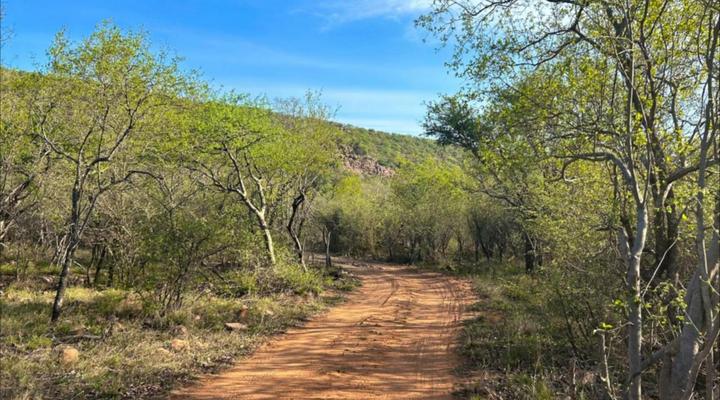 Sabella Bushveld Lodge