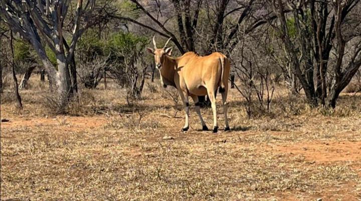 Sabella Bushveld Lodge
