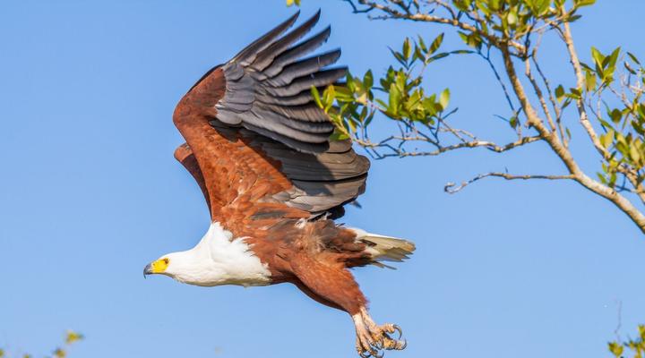 Estuary Views at 6 The Bridge