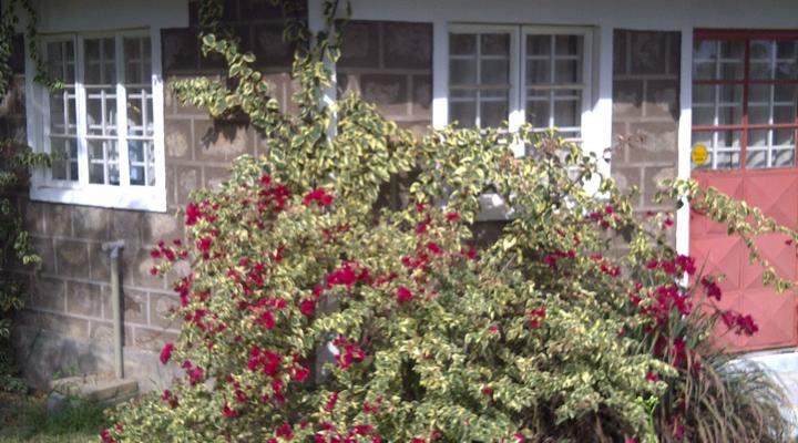 Hexagon Mbili Farm Lodge