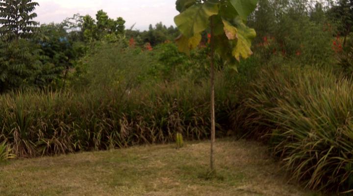 Hexagon Mbili Farm Lodge