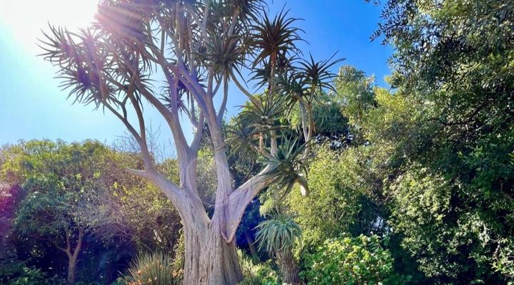 Die Heerenhuys Guest Suites