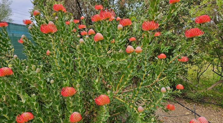Die Heerenhuys Guest Suites