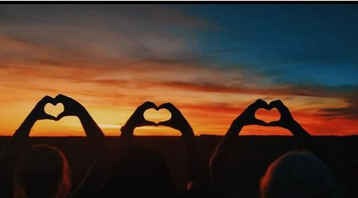 Zanchieta Wildlife Rescue and Lodge