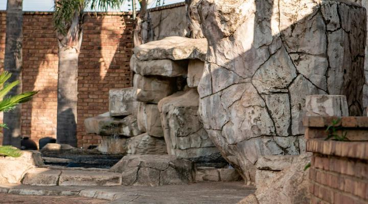 Accommodation At Thabong Venue