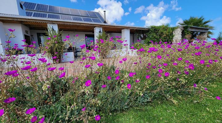 Oorgenoeg in Langebaan