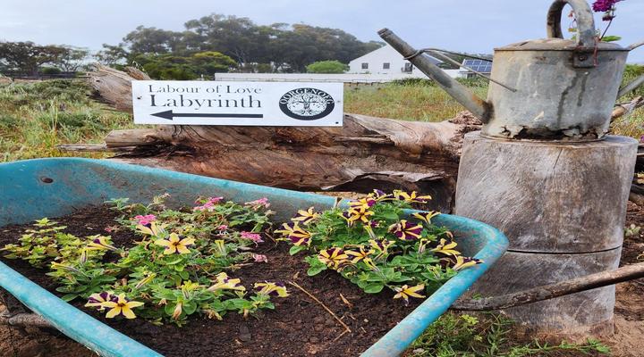 Oorgenoeg in Langebaan