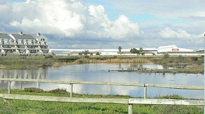 Equini @ Royal Ascot