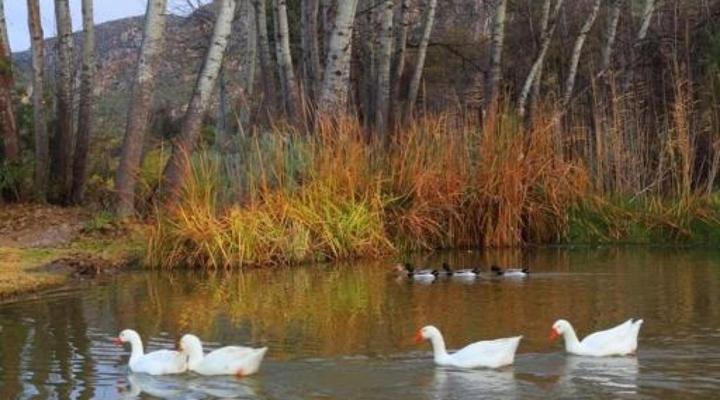 Keurfontein Country House