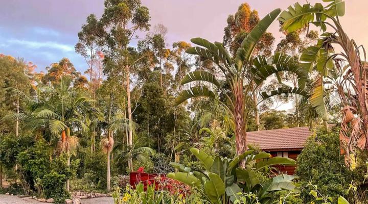 Adventurer's Escape HQ