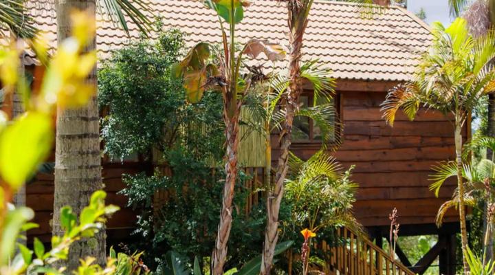 Adventurer's Escape HQ