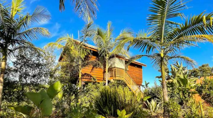 Adventurer's Escape HQ