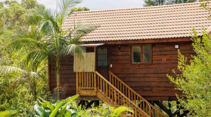 Adventurer's Escape HQ