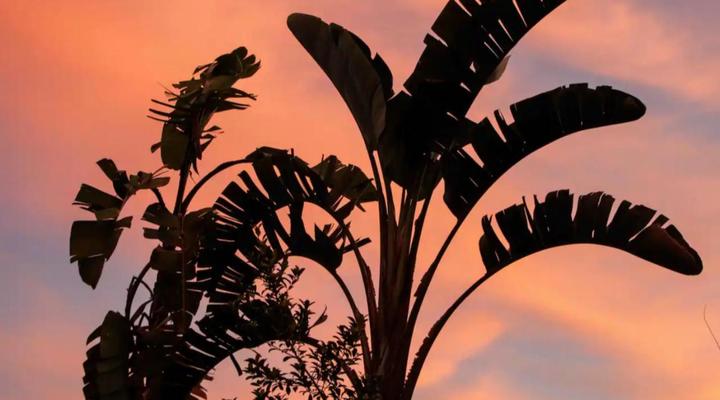 Adventurer's Escape HQ