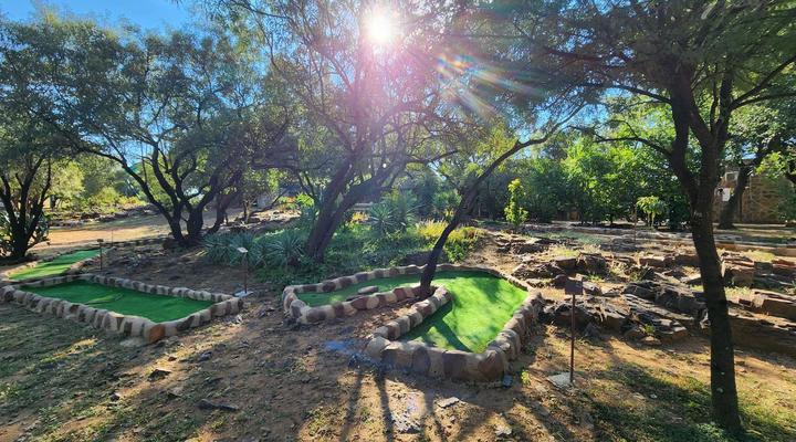 Rocking Giraffe Bush Lodge