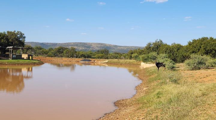Rocking Giraffe Bush Lodge