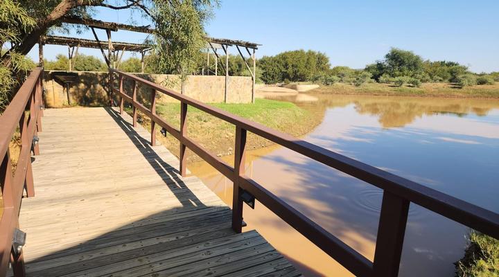 Rocking Giraffe Bush Lodge