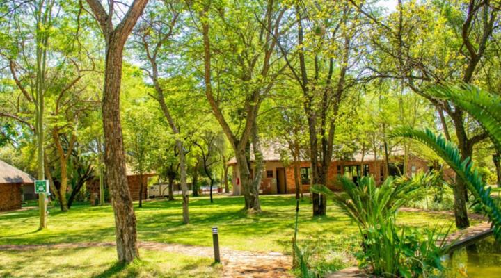 Mela Luxury Game Lodge