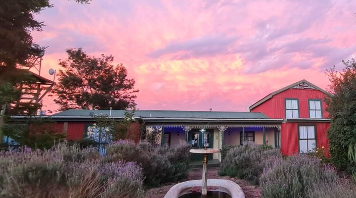 Outeniqua Moon Stud and Guest Farm