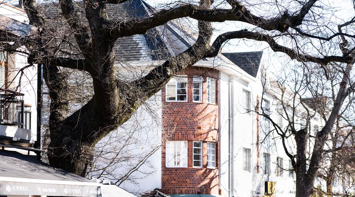 Avemore - Jan Cats No 5