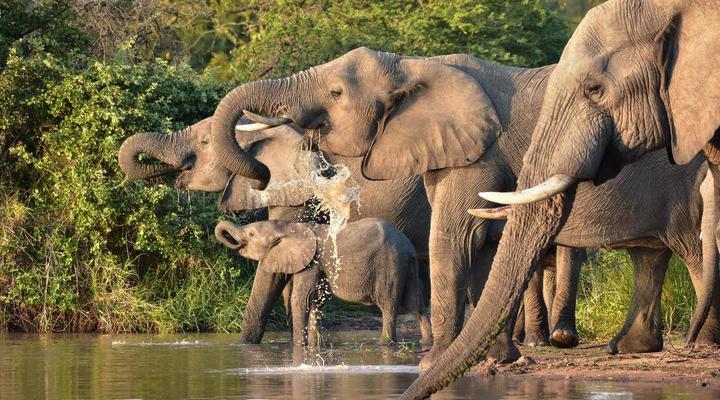 Mohlabetsi Self Catering Bush Lodge