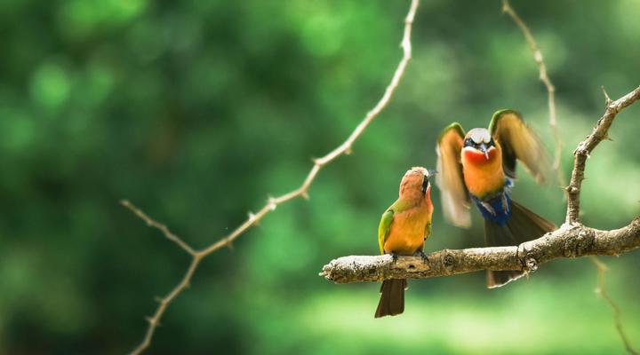 Mohlabetsi Self Catering Bush Lodge