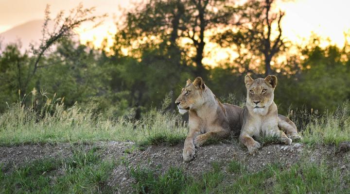 Mohlabetsi Self Catering Bush Lodge