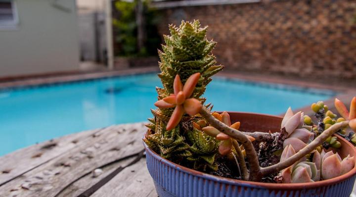 Dreamers Guest House