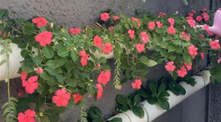 12 on York Guesthouse