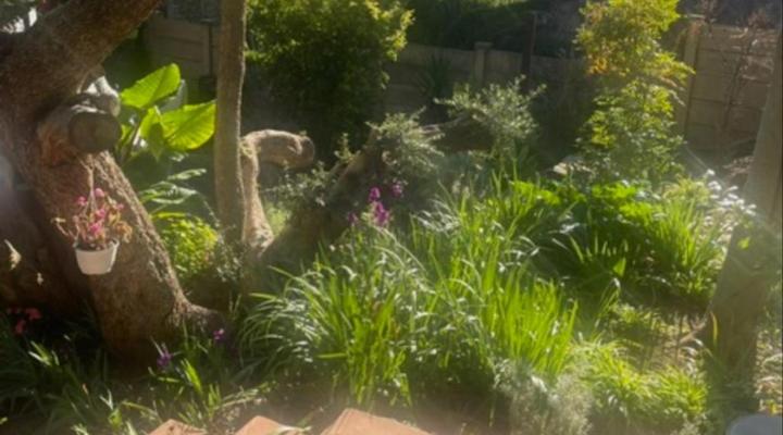 12 on York Guesthouse