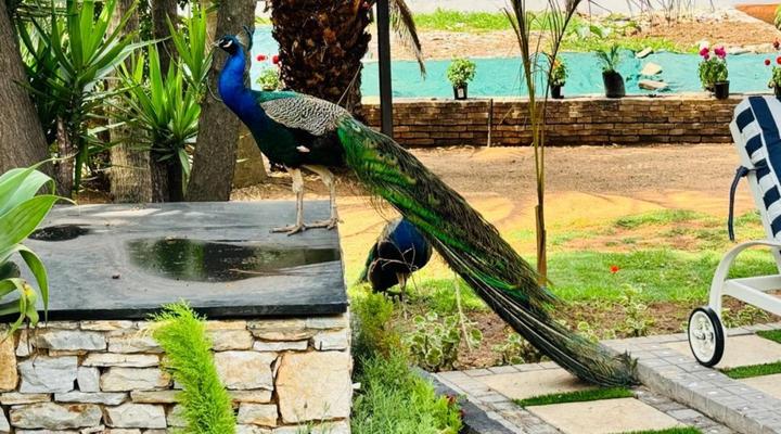 C'est La Vie Boutique Hotel