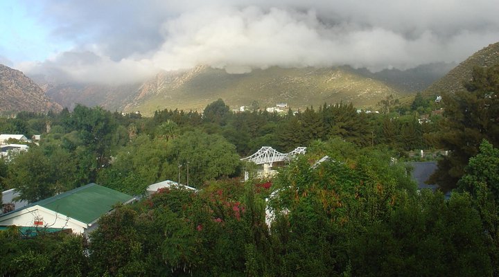 Pepper Tree, Montagu