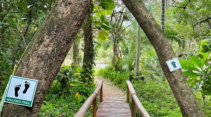 #523 Kruger Park Lodge