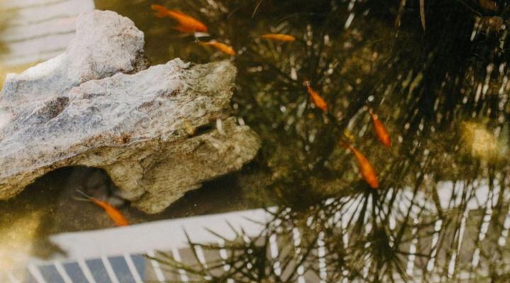 Cape Select Luxury Accommodation