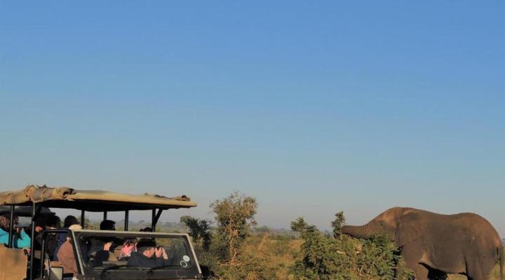 Honey Badger Safari House