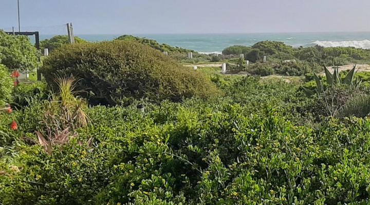 Wondersig Seafront Apartments