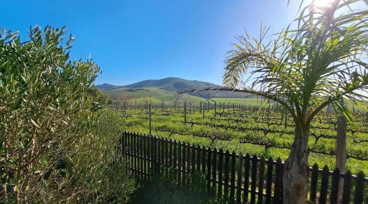 Domaine Coutelier Apartments