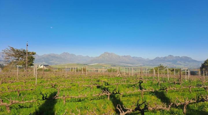 Domaine Coutelier Apartments