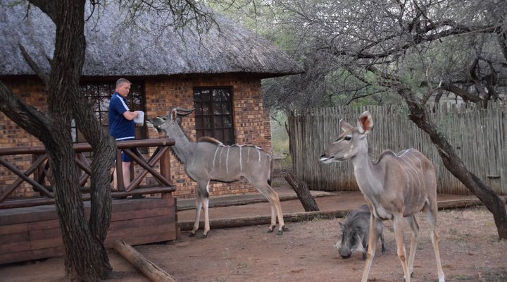 Khumbula iAfrica