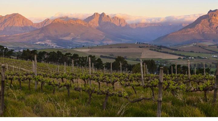 Domaine Coutelier Apartments