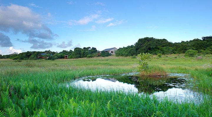 Nkumbe Wildlife Tented Camp Estate