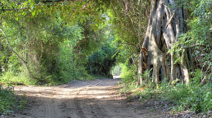 Nkumbe Wildlife Tented Camp Estate